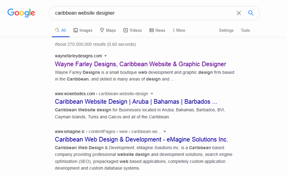 Google search results for caribbean website designer